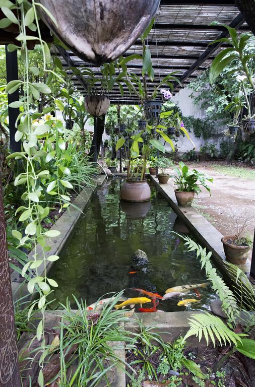 מלון ויינטיאן Lani'S House By The Ponds מראה חיצוני תמונה